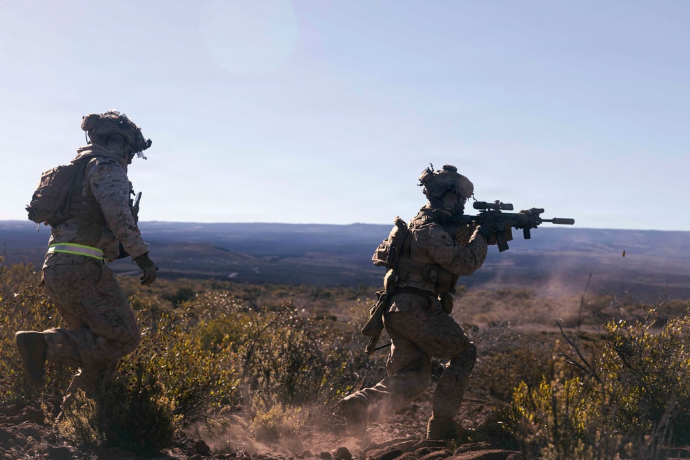 3rd LCT executes live-fire squad attacks at PTA
