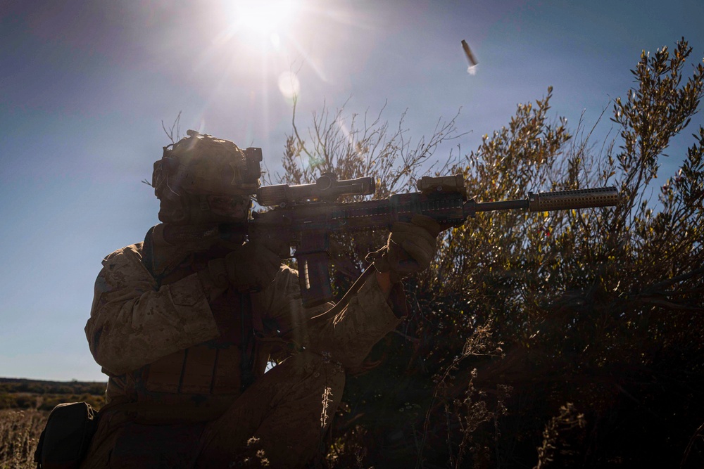 3rd LCT executes live-fire squad attacks at PTA