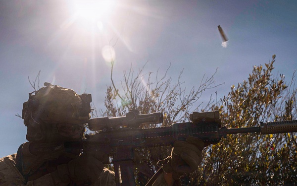 3rd LCT executes live-fire squad attacks at PTA