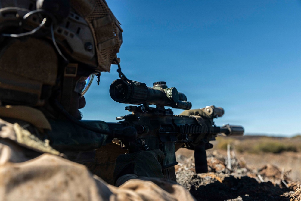 3rd LCT executes live-fire squad attacks at PTA