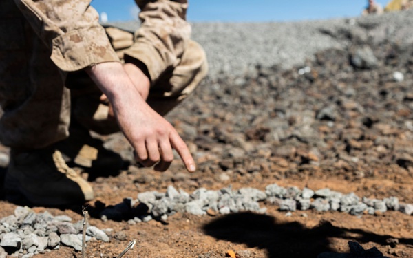 3rd LCT executes live-fire squad attacks at PTA