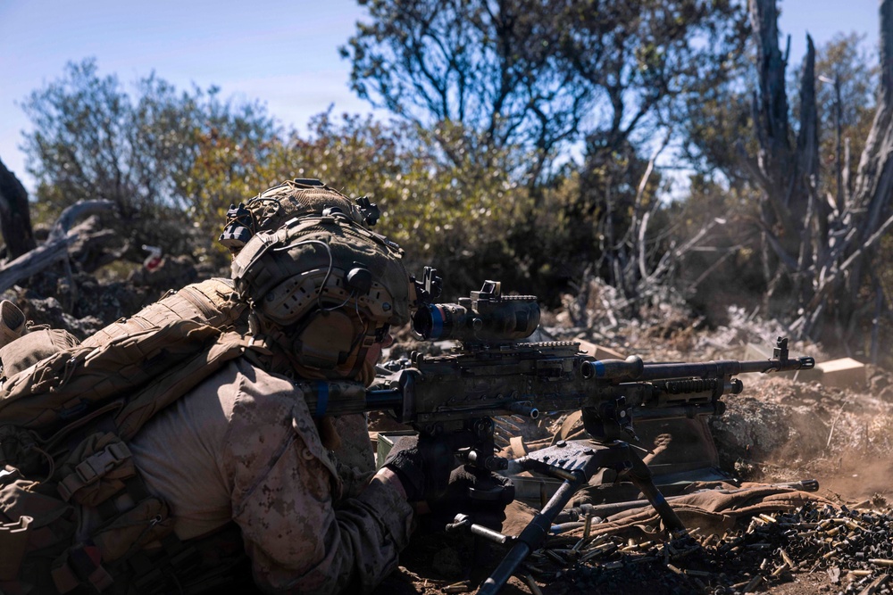 3rd LCT executes live-fire squad attacks at PTA