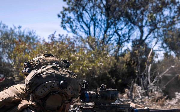 3rd LCT executes live-fire squad attacks at PTA