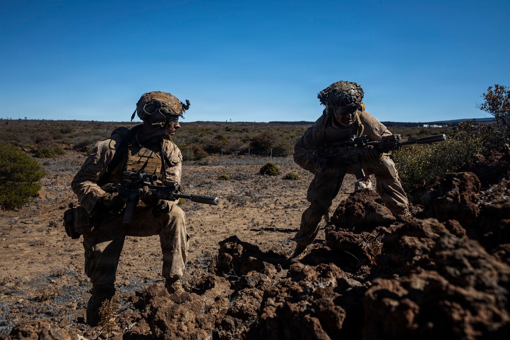 3rd LCT executes live-fire squad attacks at PTA
