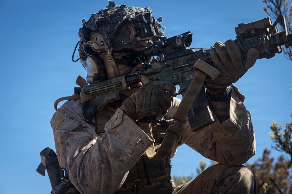 3rd LCT executes live-fire squad attacks at PTA