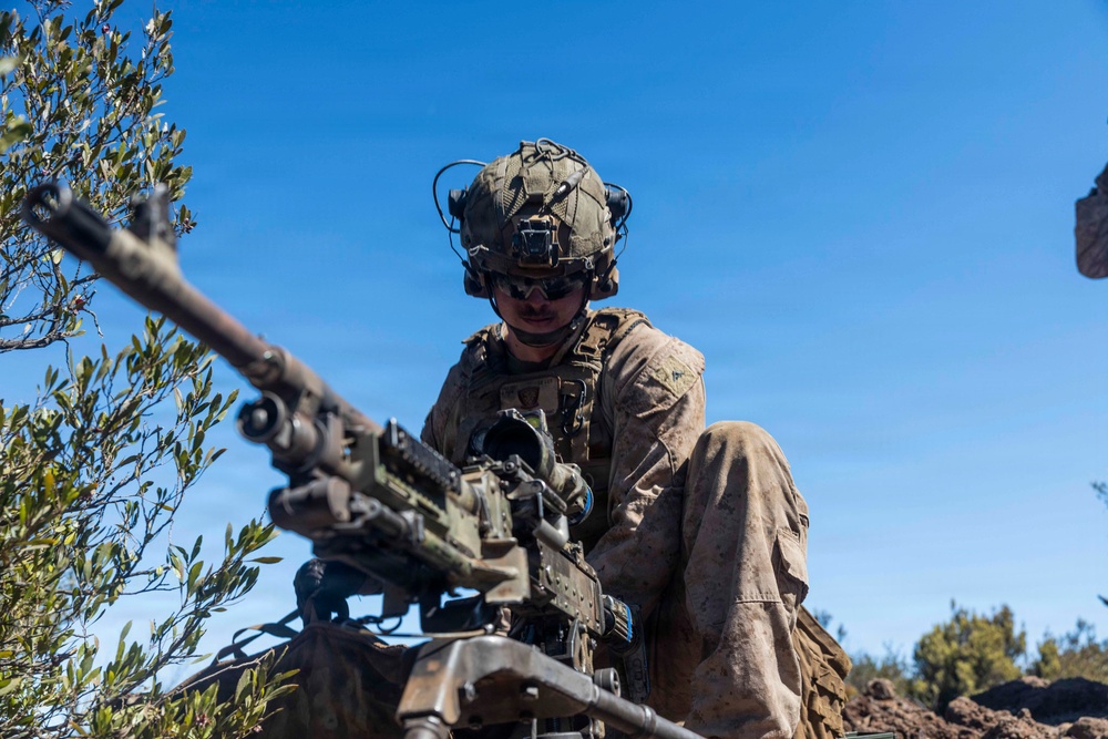 3rd LCT executes live-fire squad attacks at PTA