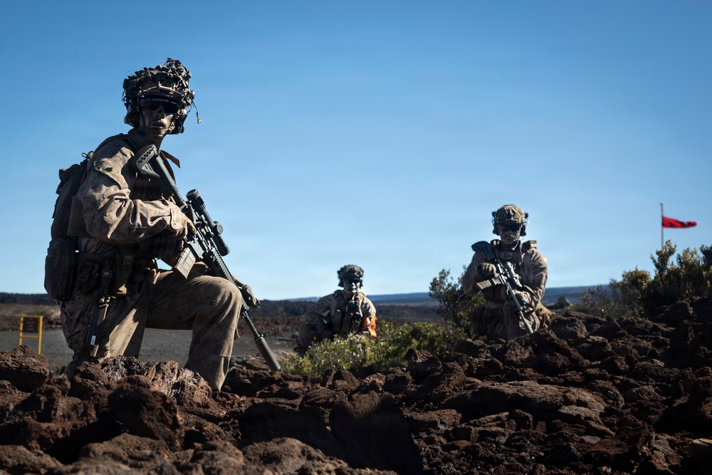 3rd LCT executes live-fire squad attacks at PTA