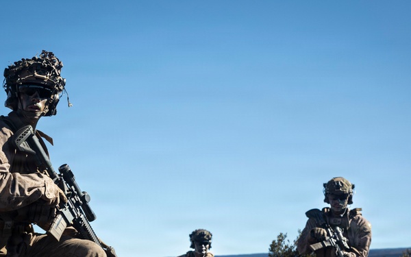 3rd LCT executes live-fire squad attacks at PTA