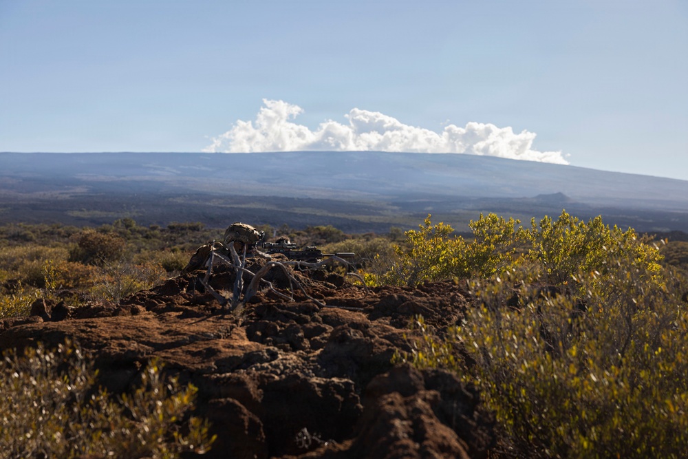 3rd LCT executes live-fire squad attacks at PTA