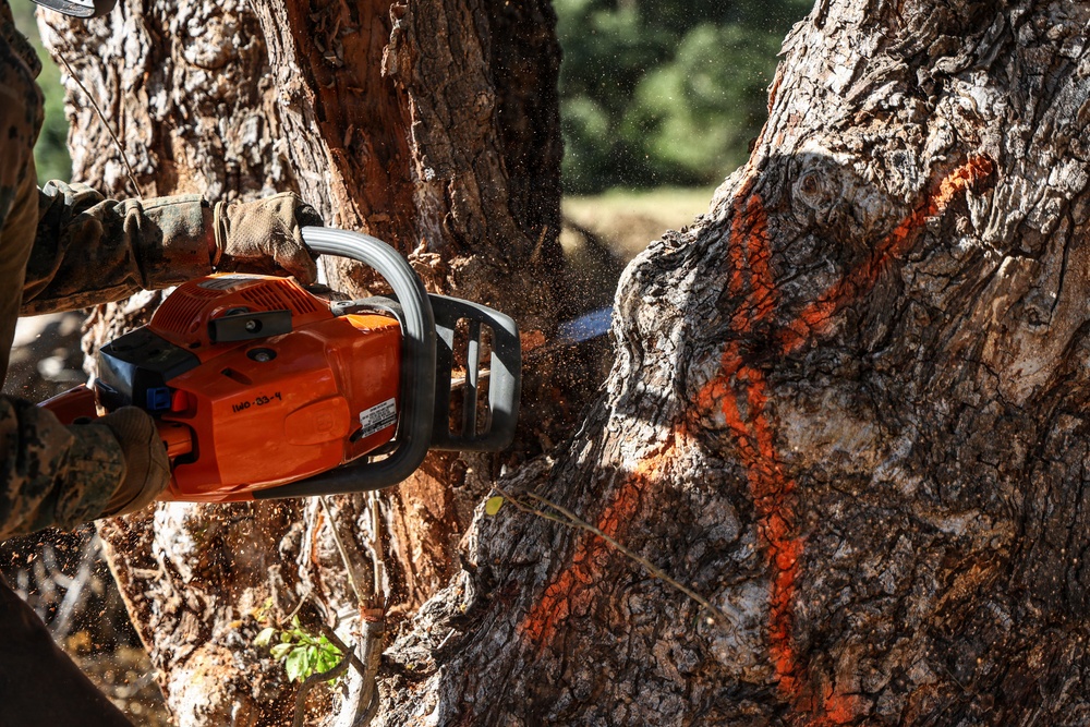 22nd MEU(SOC) | BLT 3/6 Conducts Airstrip Improvement Operations in Puerto Rico