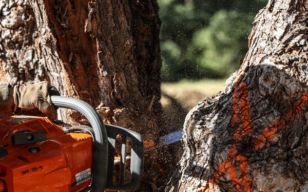 22nd MEU(SOC) | BLT 3/6 Conducts Airstrip Improvement Operations in Puerto Rico