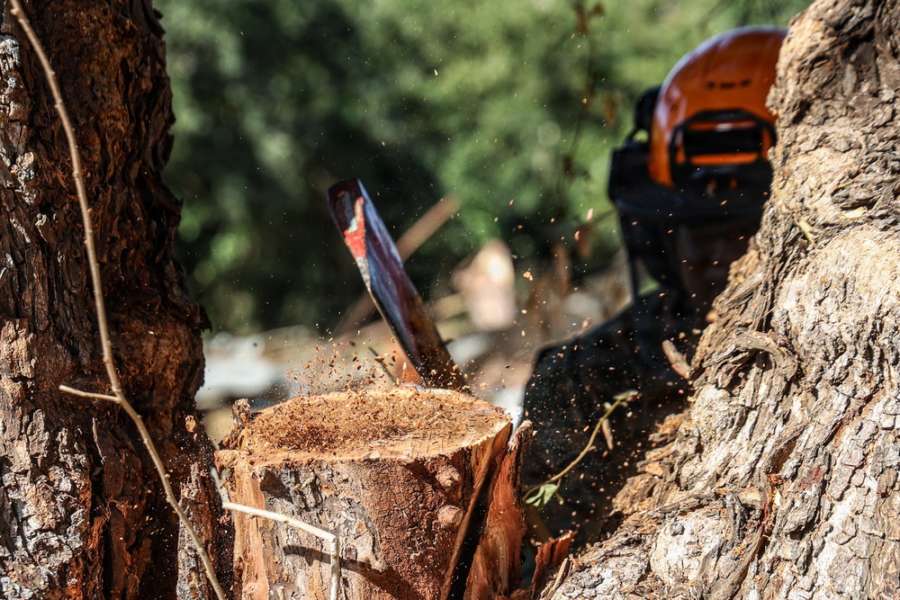 22nd MEU(SOC) | BLT 3/6 Conducts Airstrip Improvement Operations in Puerto Rico