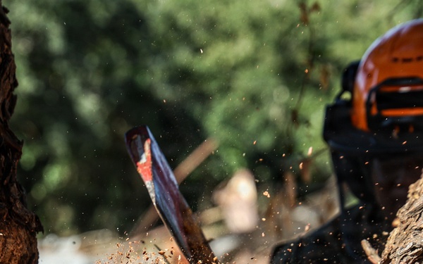 22nd MEU(SOC) | BLT 3/6 Conducts Airstrip Improvement Operations in Puerto Rico