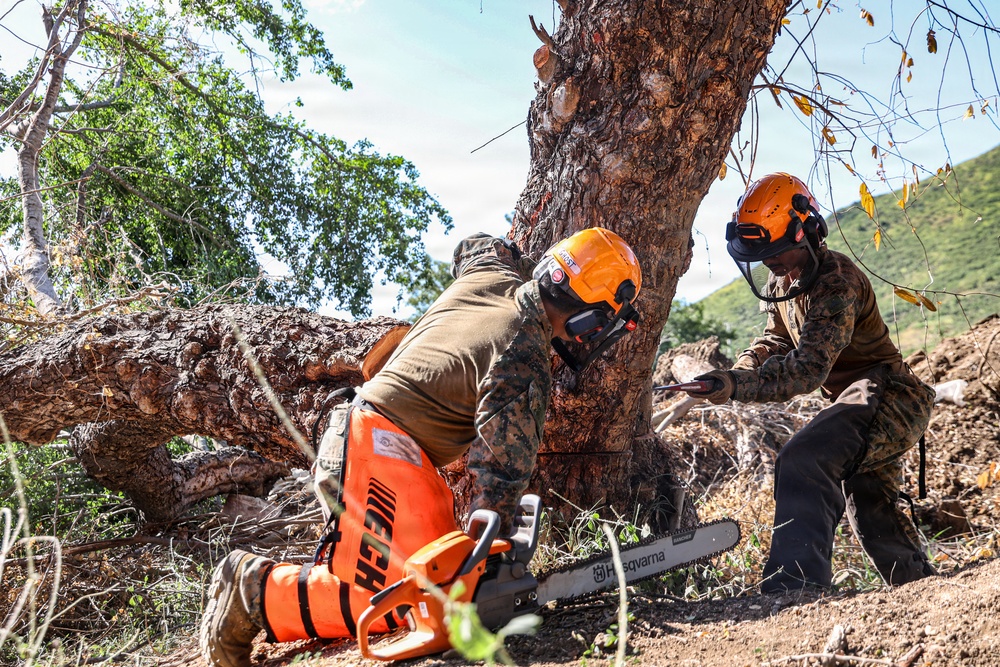 22nd MEU(SOC) | BLT 3/6 Conducts Airstrip Improvement Operations in Puerto Rico