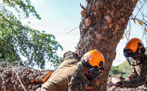 22nd MEU(SOC) | BLT 3/6 Conducts Airstrip Improvement Operations in Puerto Rico