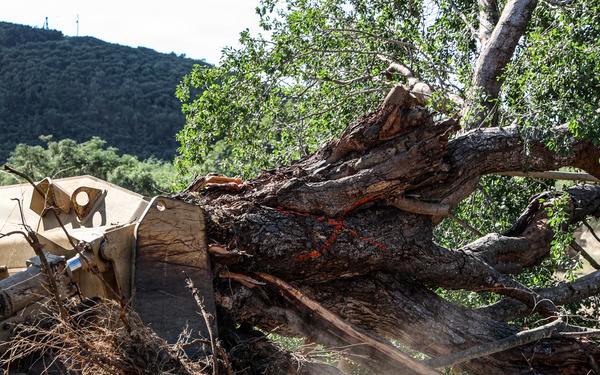 22nd MEU(SOC) | BLT 3/6 Conducts Airstrip Improvement Operations in Puerto Rico