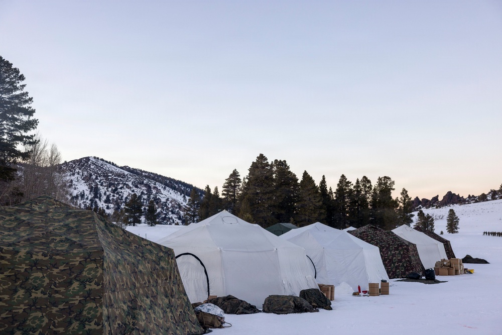 MTX 1-26 | Combat Logistics Battalion 24 Hot Meals Delivery