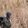 Yokota supports first JGSDF-hosted multinational airborne exercise Yokota supports first JGSDF-hosted multinational airborne exercise