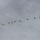 Yokota supports first JGSDF-hosted multinational airborne exercise Yokota supports first JGSDF-hosted multinational airborne exercise