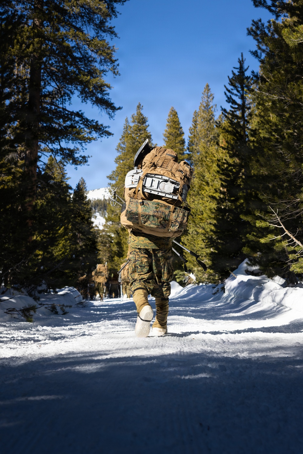 2nd Bn., 4th Marines conduct ski familiarization during MTX 1-26