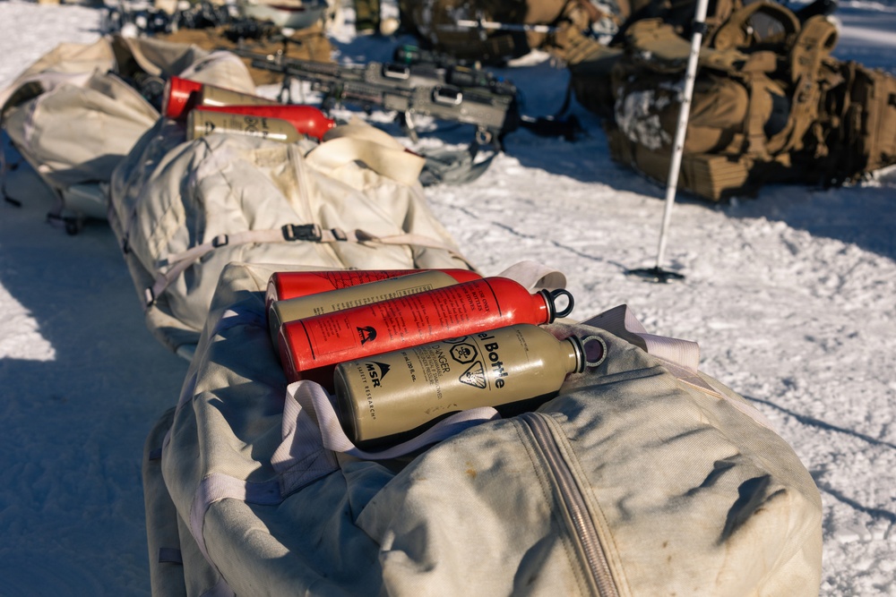 2nd Bn., 4th Marines conduct ski familiarization during MTX 1-26