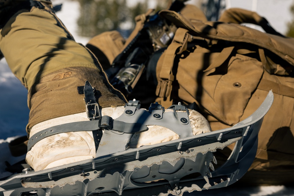 2nd Bn., 4th Marines conduct ski familiarization during MTX 1-26