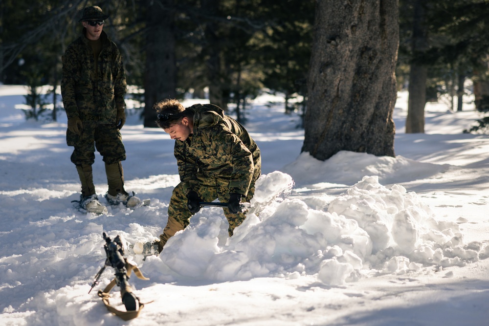 2nd Bn., 4th Marines conduct ski familiarization during MTX 1-26
