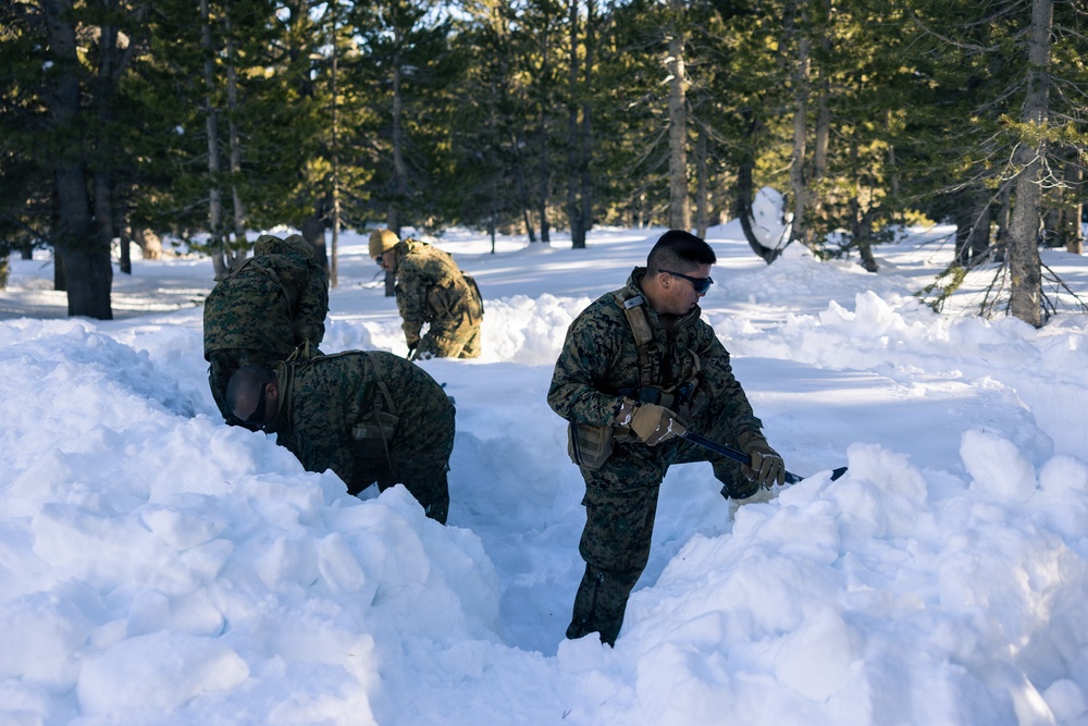 2nd Bn., 4th Marines conduct ski familiarization during MTX 1-26