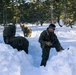 2nd Bn., 4th Marines conduct ski familiarization during MTX 1-26