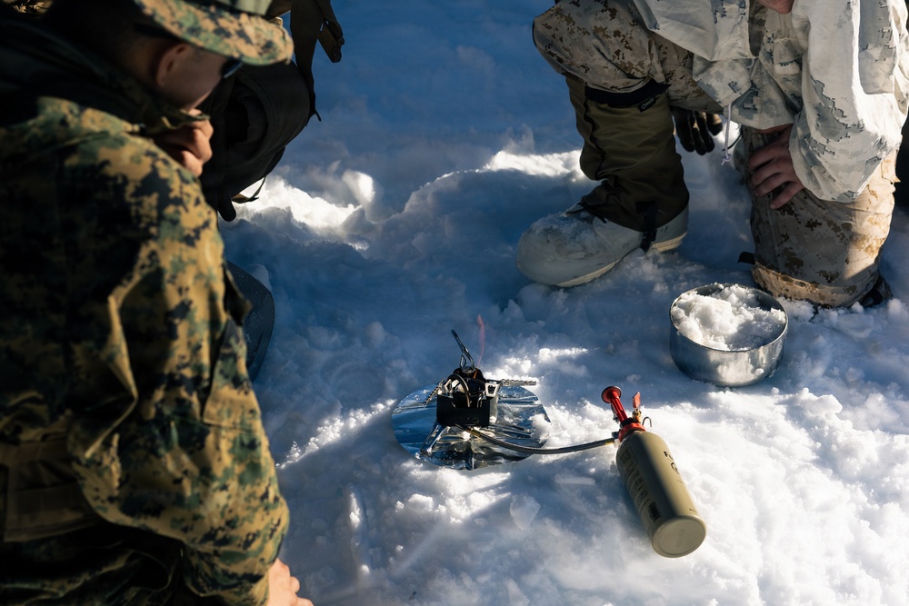 2nd Bn., 4th Marines conduct ski familiarization during MTX 1-26
