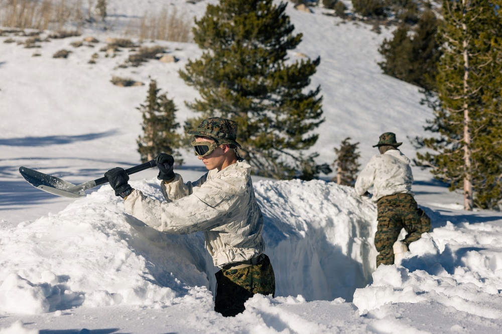 2nd Bn., 4th Marines conduct ski familiarization during MTX 1-26