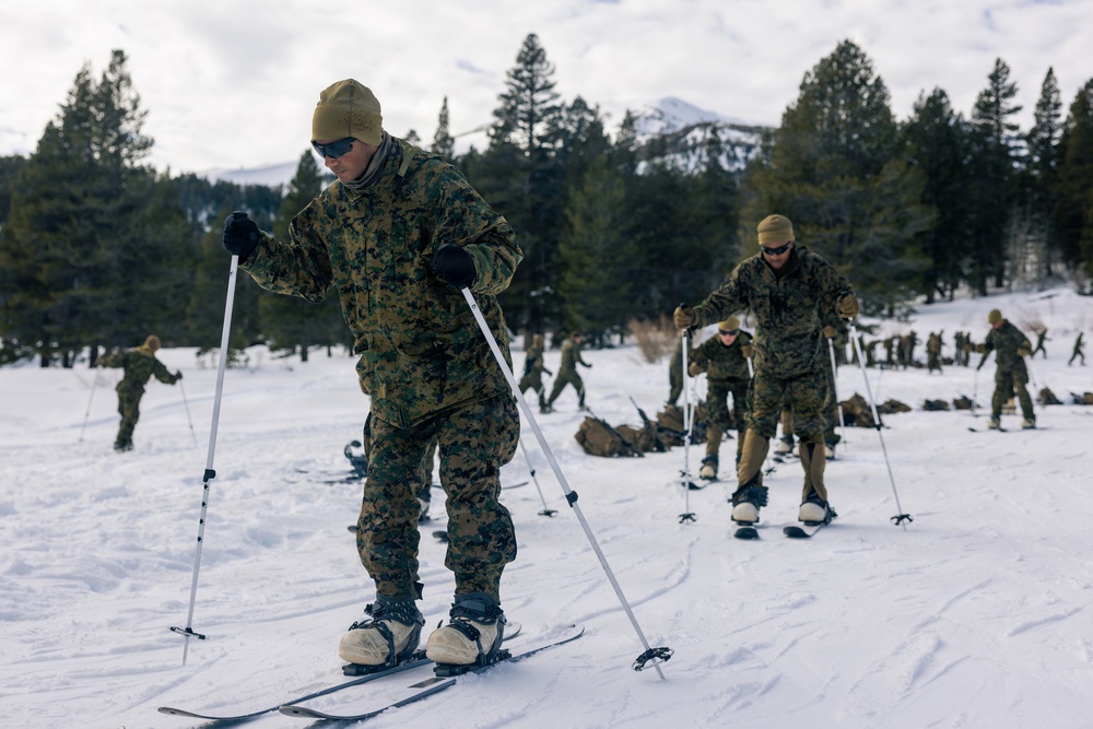 2nd Bn., 4th Marines conduct ski familiarization during MTX 1-26