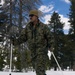2nd Bn., 4th Marines conduct ski familiarization during MTX 1-26