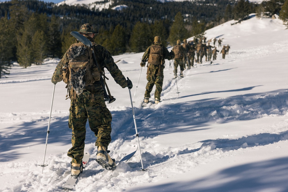 2nd Bn., 4th Marines conduct ski familiarization during MTX 1-26