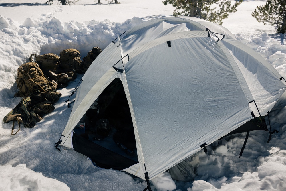 2nd Bn., 4th Marines conduct ski familiarization during MTX 1-26
