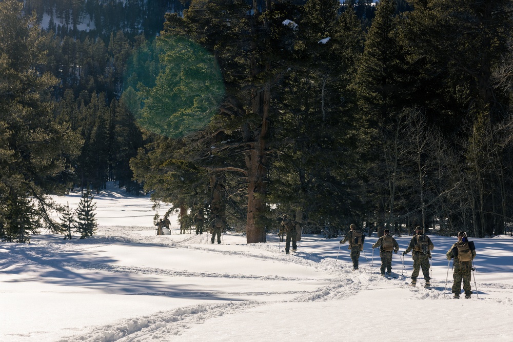 2nd Bn., 4th Marines conduct ski familiarization during MTX 1-26