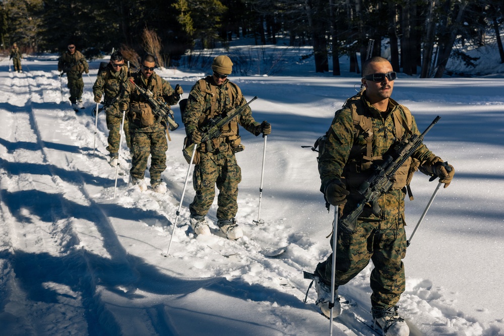 2nd Bn., 4th Marines conduct ski familiarization during MTX 1-26