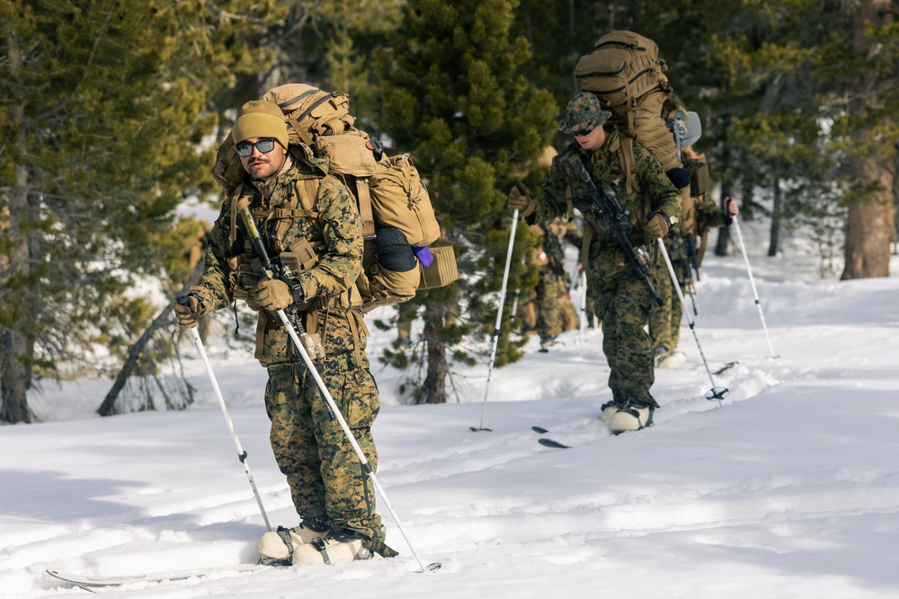 2nd Bn., 4th Marines conduct ski familiarization during MTX 1-26