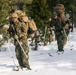 2nd Bn., 4th Marines conduct ski familiarization during MTX 1-26