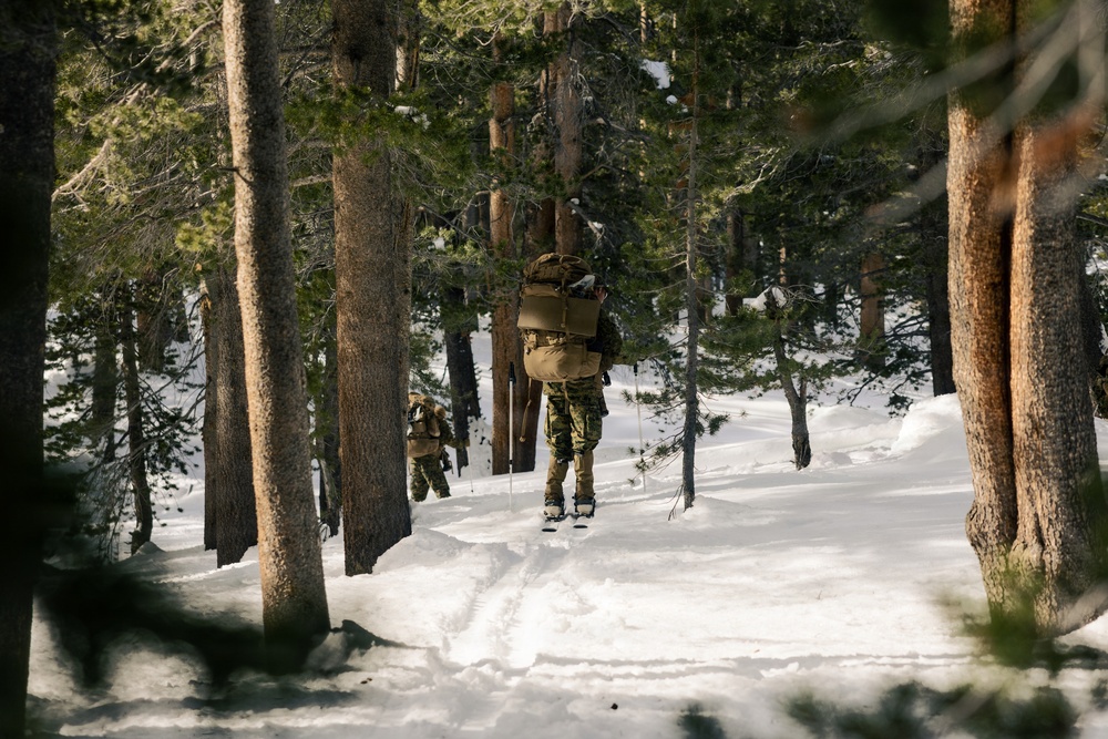 2nd Bn., 4th Marines conduct ski familiarization during MTX 1-26