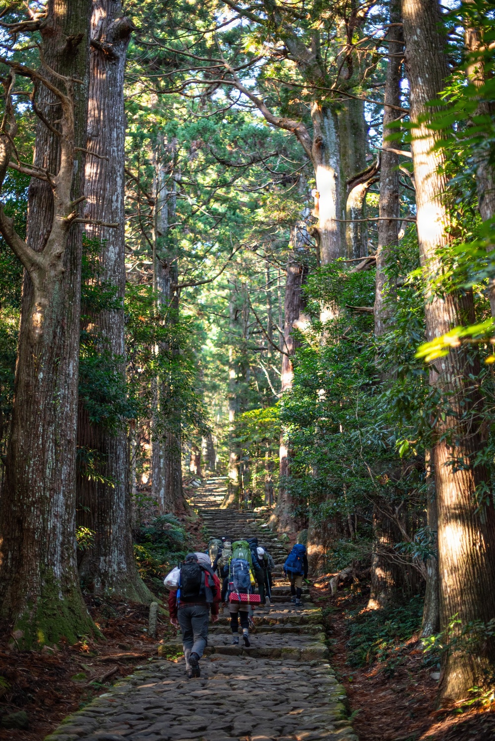 “Purified by the Path”: Team Kadena’s Misogi on the Kumano Kodo