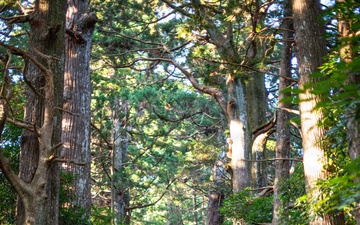 “Purified by the Path”: Team Kadena’s Misogi on the Kumano Kodo