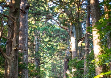 “Purified by the Path”: Team Kadena’s Misogi on the Kumano Kodo