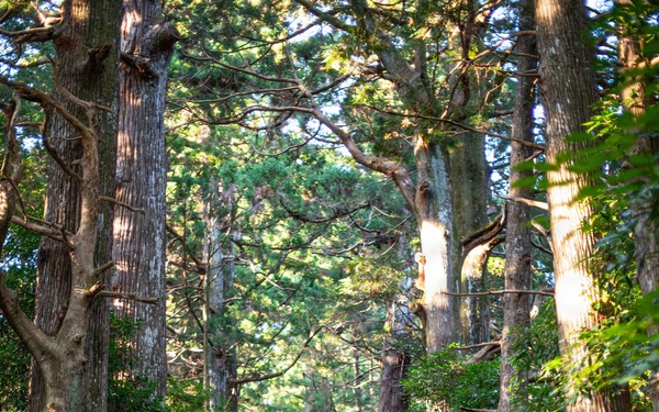 “Purified by the Path”: Team Kadena’s Misogi on the Kumano Kodo