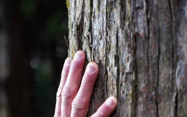 “Purified by the Path”: Team Kadena’s Misogi on the Kumano Kodo