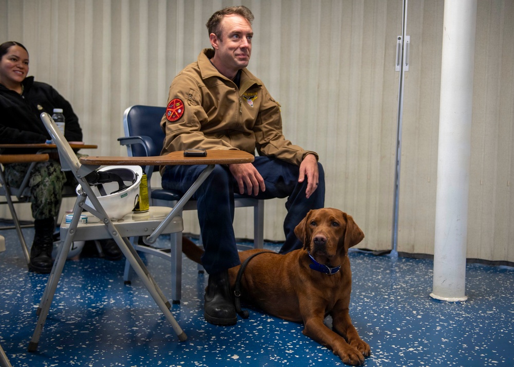 USS Carl Vinson (CVN 70) Daily Operations