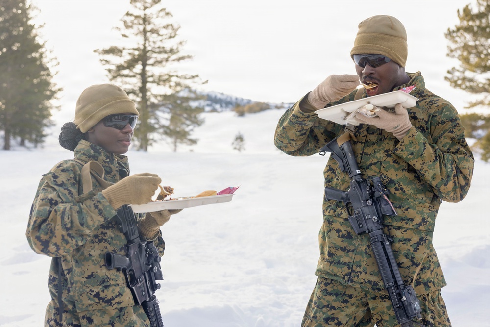 MTX 1-26 | Combat Logistics Battalion 24 Grouse Meadows Tour