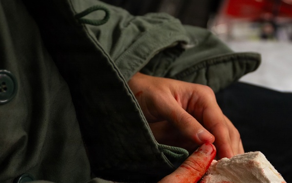 Operation Ice Forge 2026