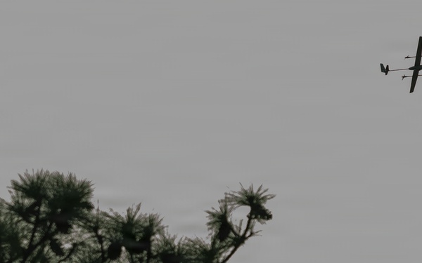 1st Battalion, 2nd Marine Regiment Conducts Live Fire Drone Attacks