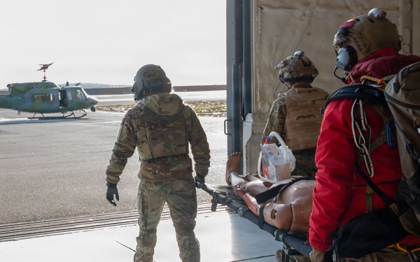 Operation Ice Forge 2026